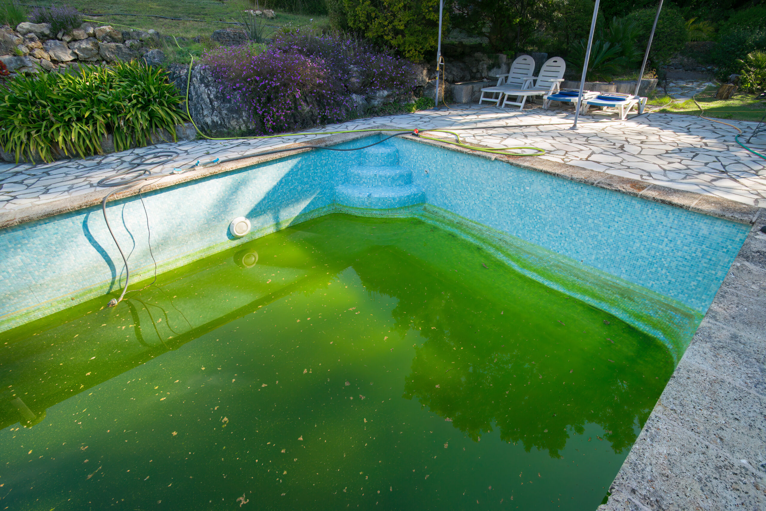 Piscine à l'eau verte nécessitant un entretien et un traitement en Maine-et-Loire